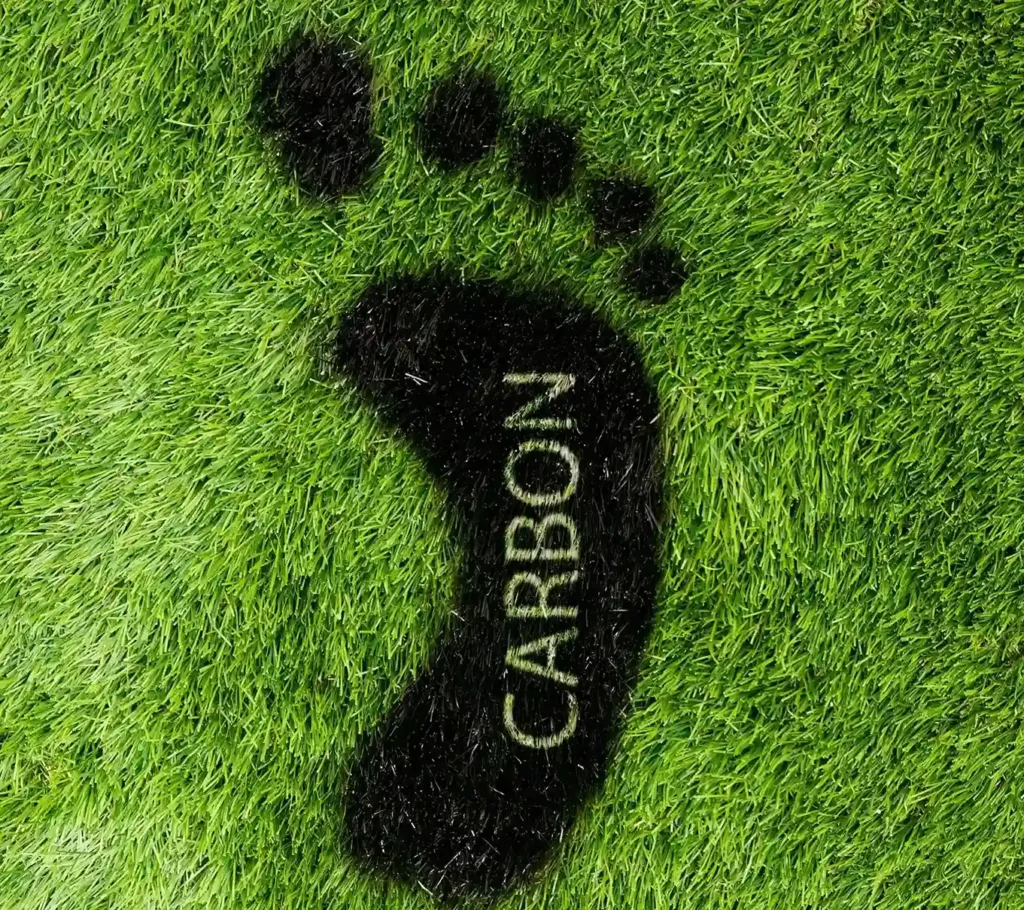 Elec Training carbon plan