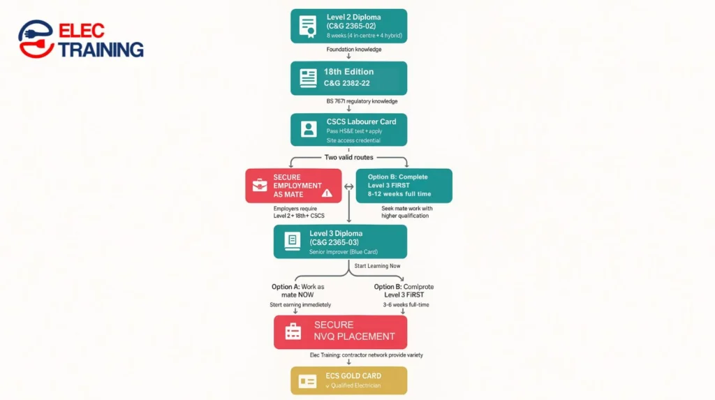 flowchart showing UK electrician qualification pathway with flexibility Level 2 Diploma, 18th Edition, CSCS card, employment options, Level 3 choice point, NVQ, AM2, Gold Card-1